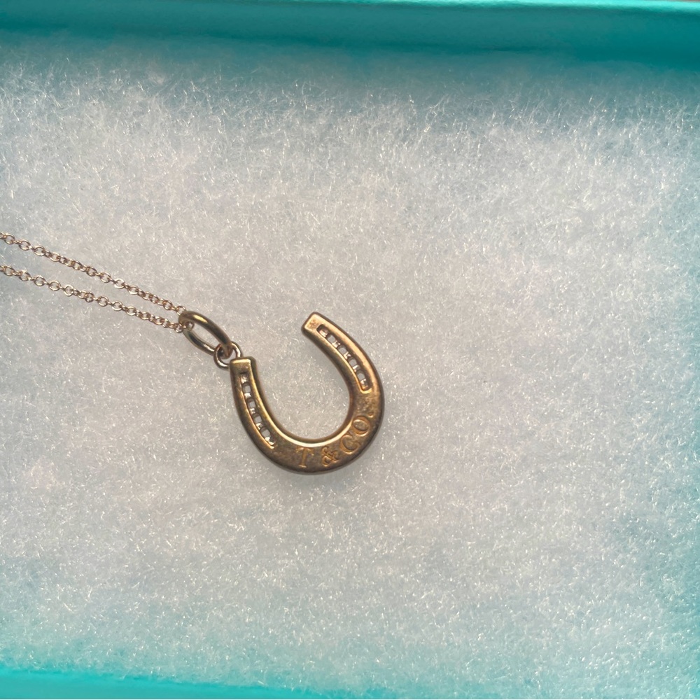 DISCONTINUED Tiffany and Co sterling silver horseshoe pendant